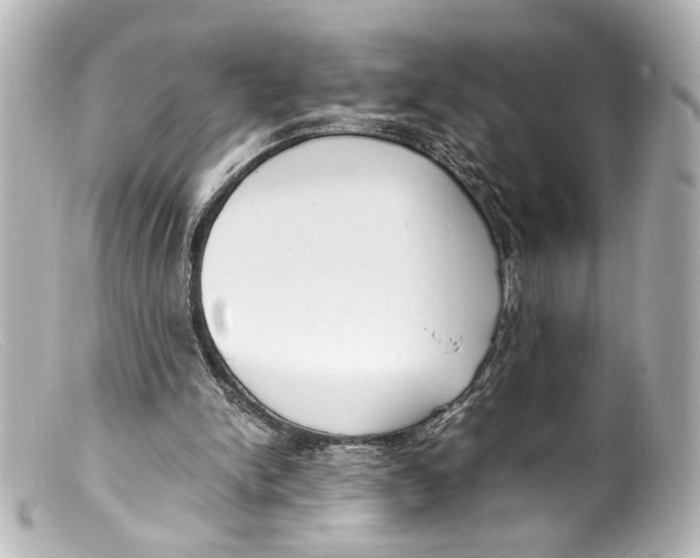 X0000099400150200805291217