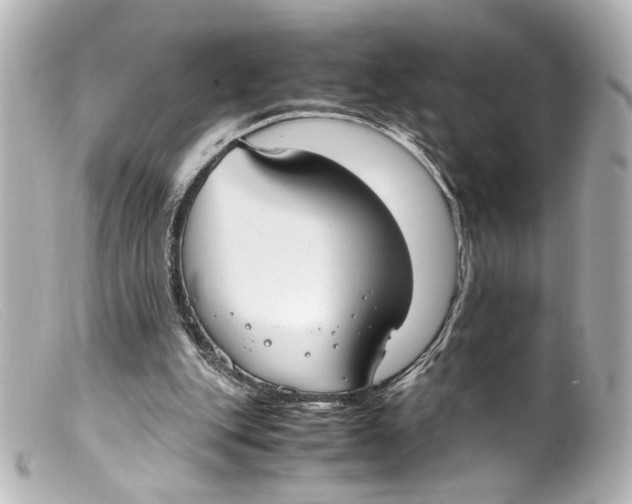 X0000099400151200805291217