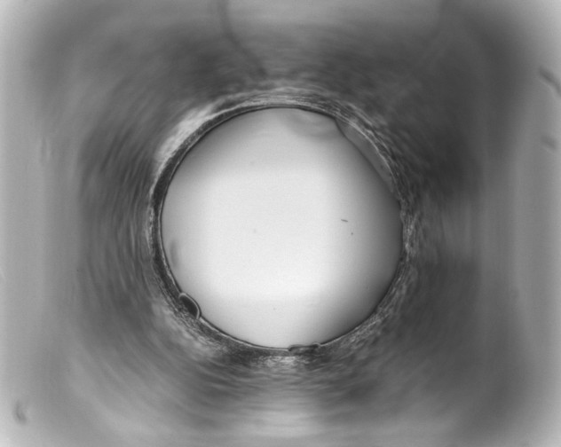 X0000099400152200805291217