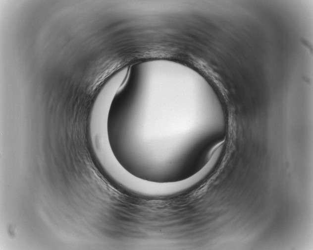 X0000099400153200805291217