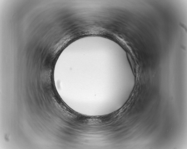 X0000099400154200805291217