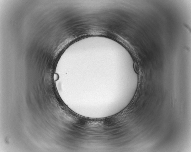 X0000099400155200805291217