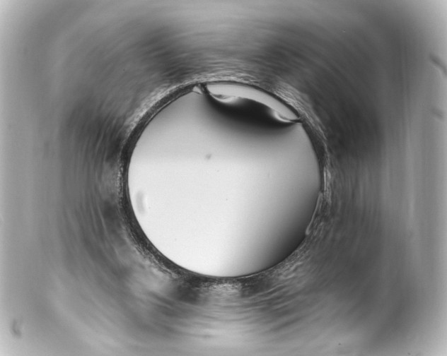 X0000099400156200805291217