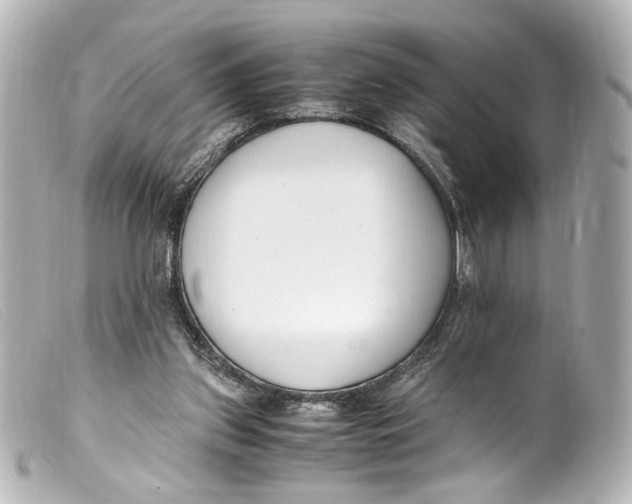 X0000099400157200805291217