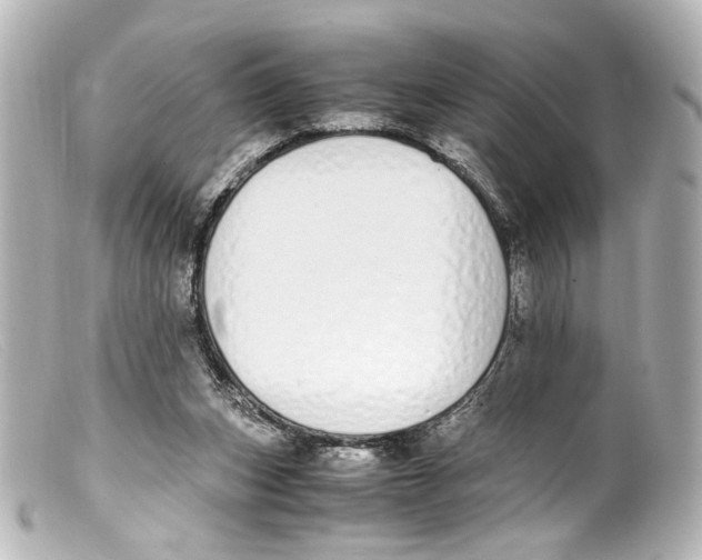 X0000099400159200805291217
