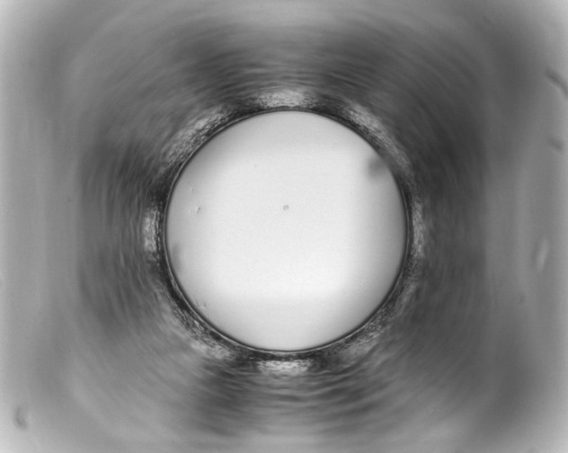 X0000099400161200805291217