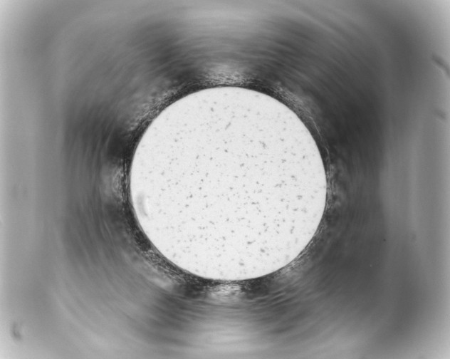 X0000099400162200805291217
