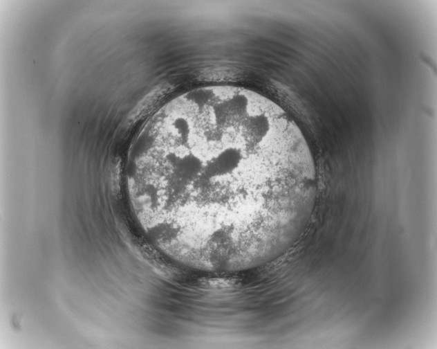 X0000099400163200805291217