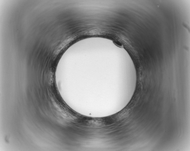 X0000099400164200805291217