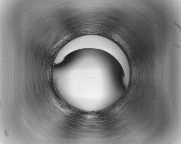 X0000099400165200805291217