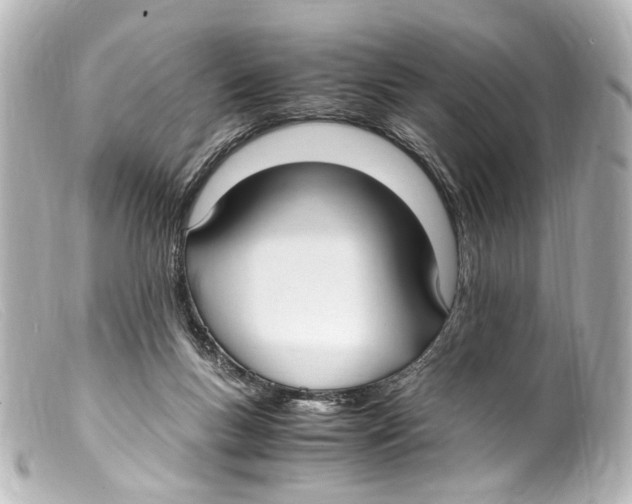 X0000099400167200805291217