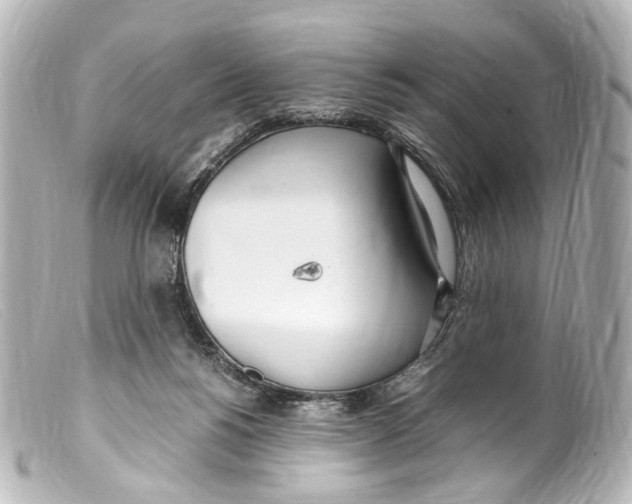 X0000099400168200805291217