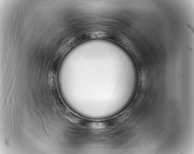 X0000099400169200805291217