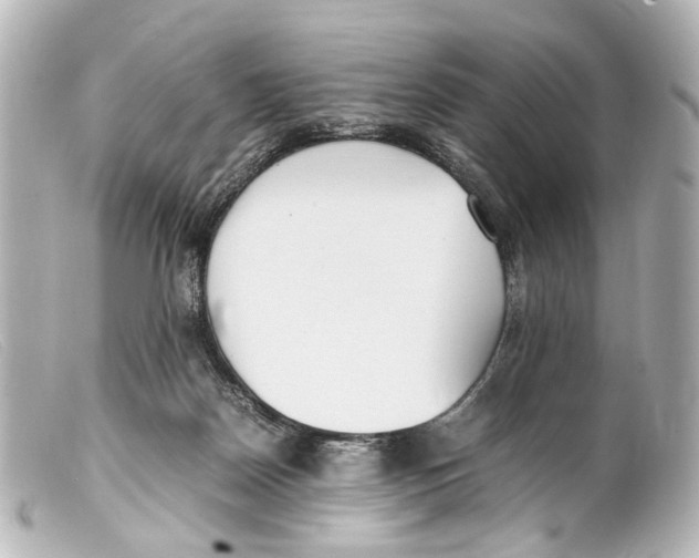 X0000099400170200805291217