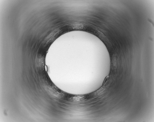 X0000099400172200805291217