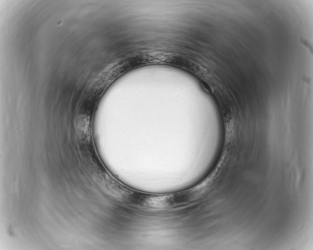 X0000099400178200805291217