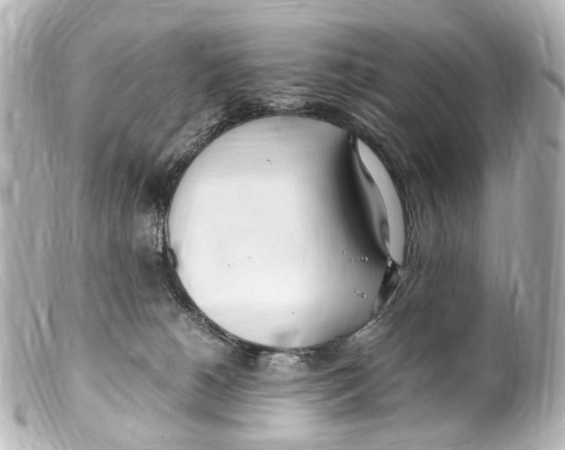 X0000099400180200805291217