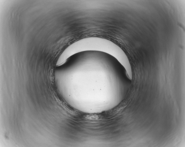 X0000099400181200805291217