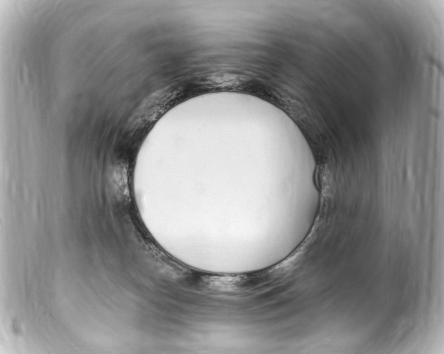 X0000099400182200805291217