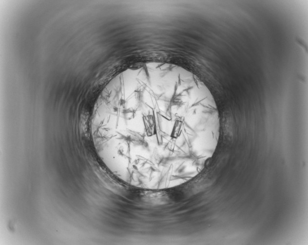 X0000099400185200805291217