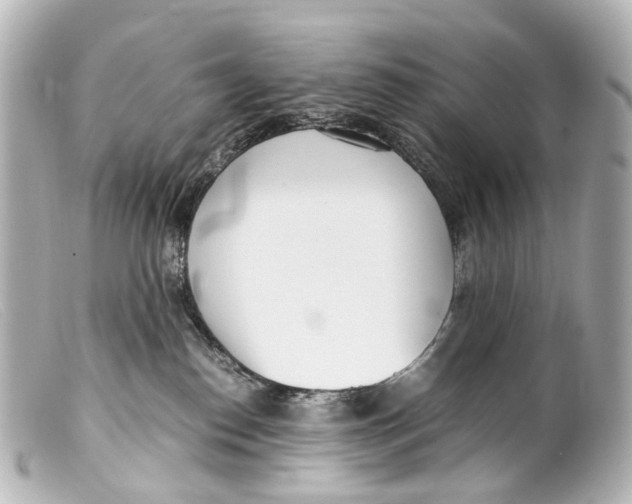 X0000099400186200805291217