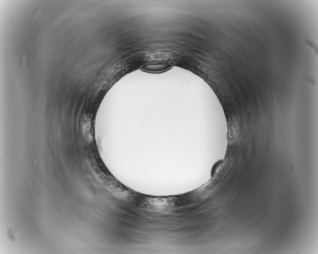 X0000099400187200805291217