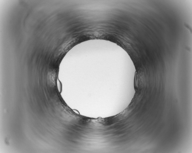 X0000099400188200805291217
