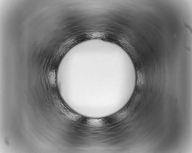 X0000099400189200805291217