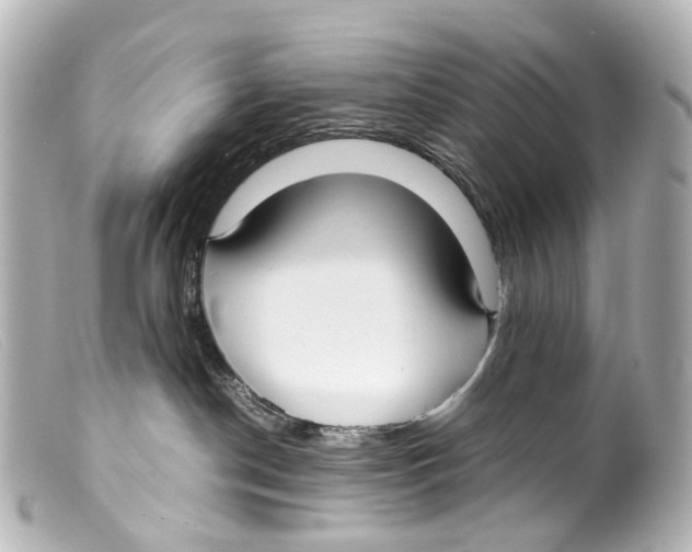 X0000099400190200805291218