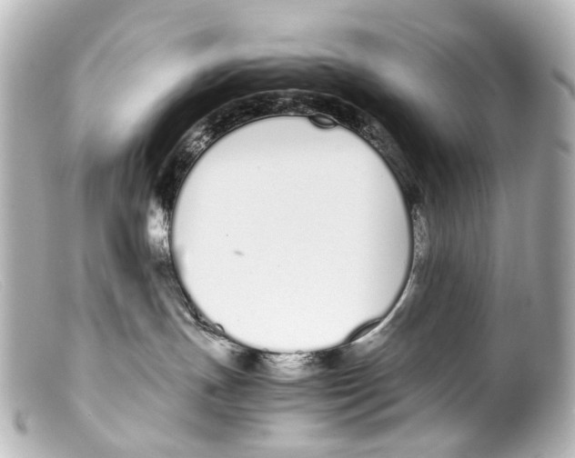 X0000099400191200805291218