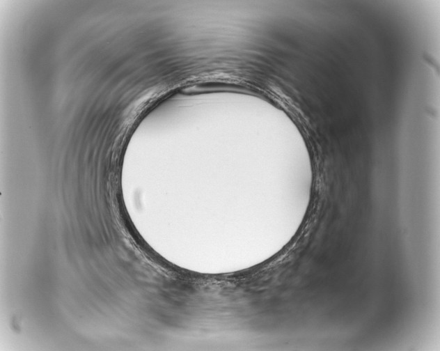 X0000099400193200805291217