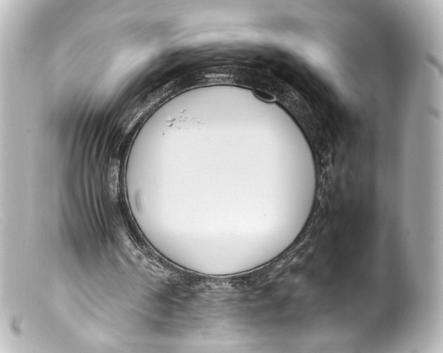 X0000099400194200805291217