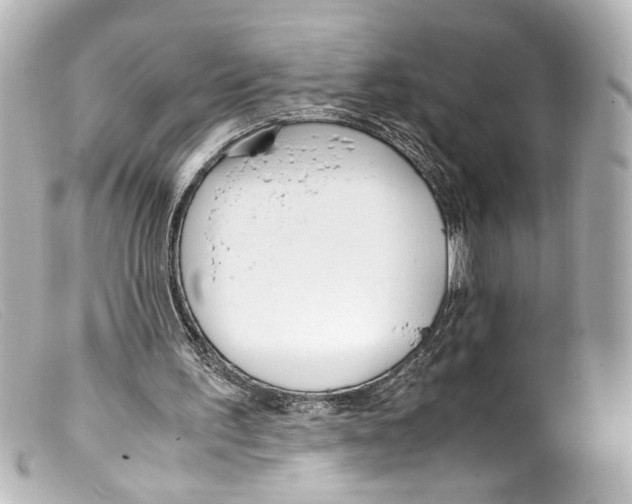 X0000099400195200805291217