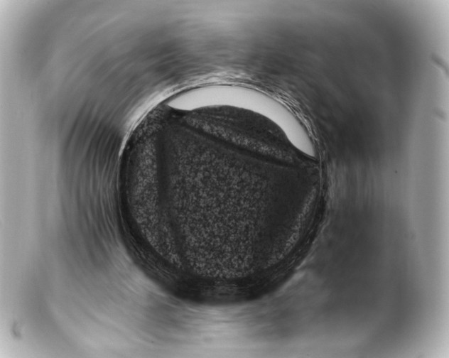 X0000099400196200805291217