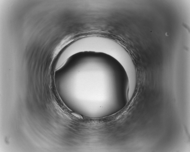 X0000099400198200805291217