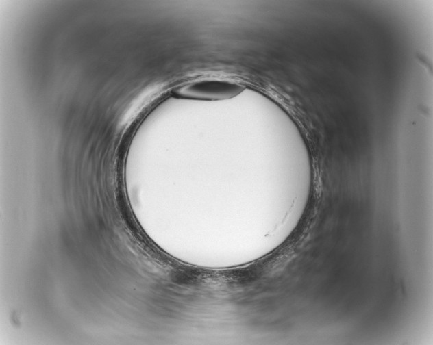 X0000099400199200805291217