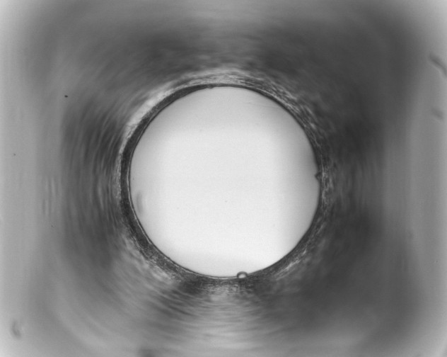 X0000099400200200805291217