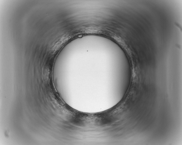 X0000099400201200805291217