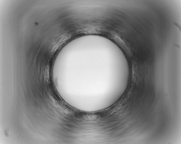 X0000099400202200805291217