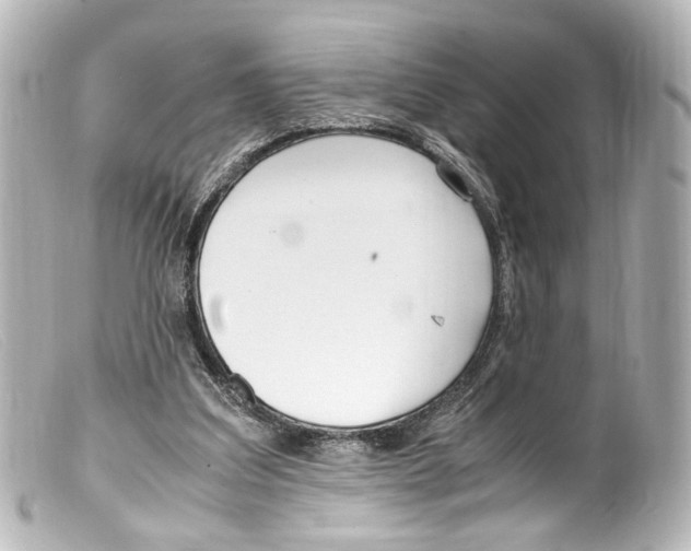 X0000099400203200805291217