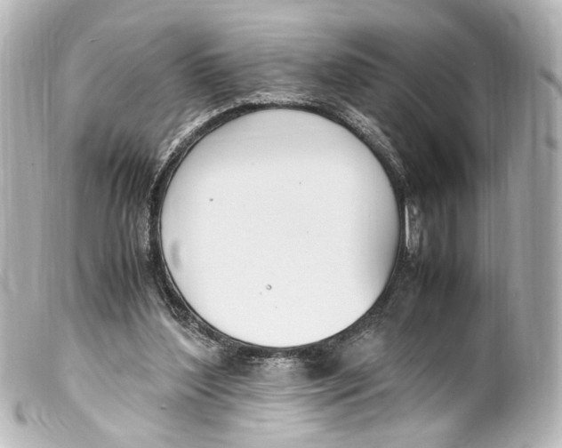 X0000099400204200805291217