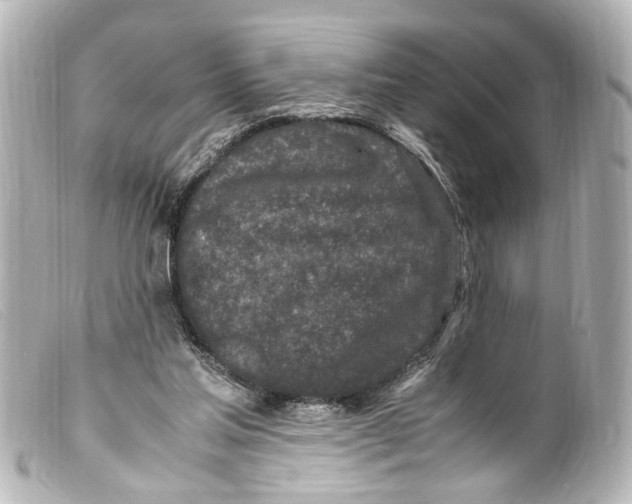 X0000099400205200805291217