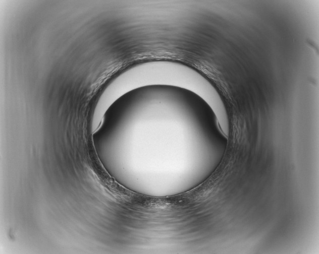 X0000099400206200805291217