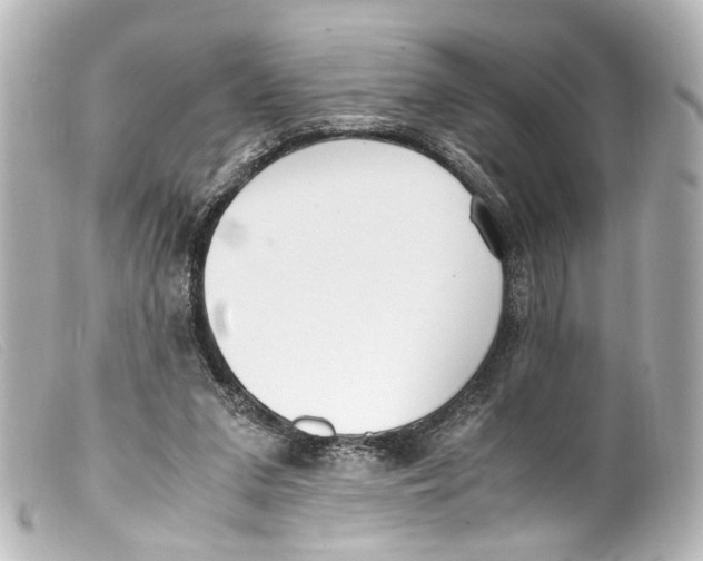 X0000099400207200805291217