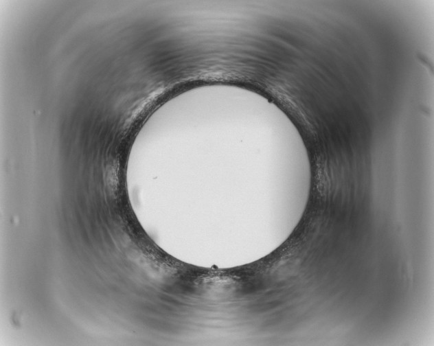 X0000099400208200805291217