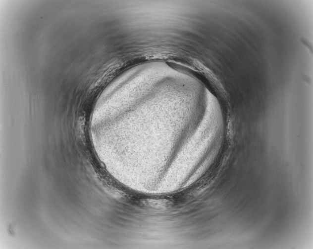 X0000099400209200805291217