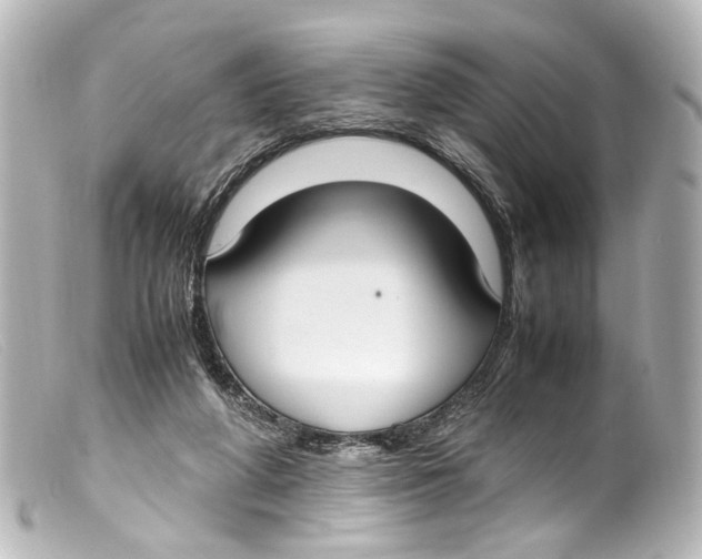 X0000099400210200805291217