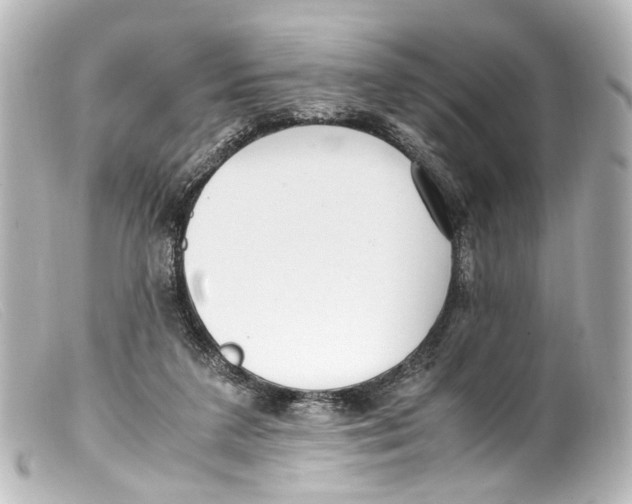 X0000099400211200805291217