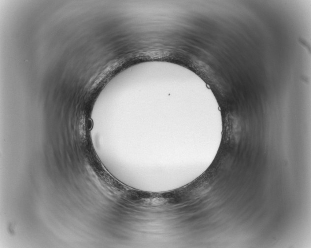 X0000099400212200805291217
