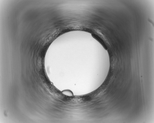 X0000099400213200805291217